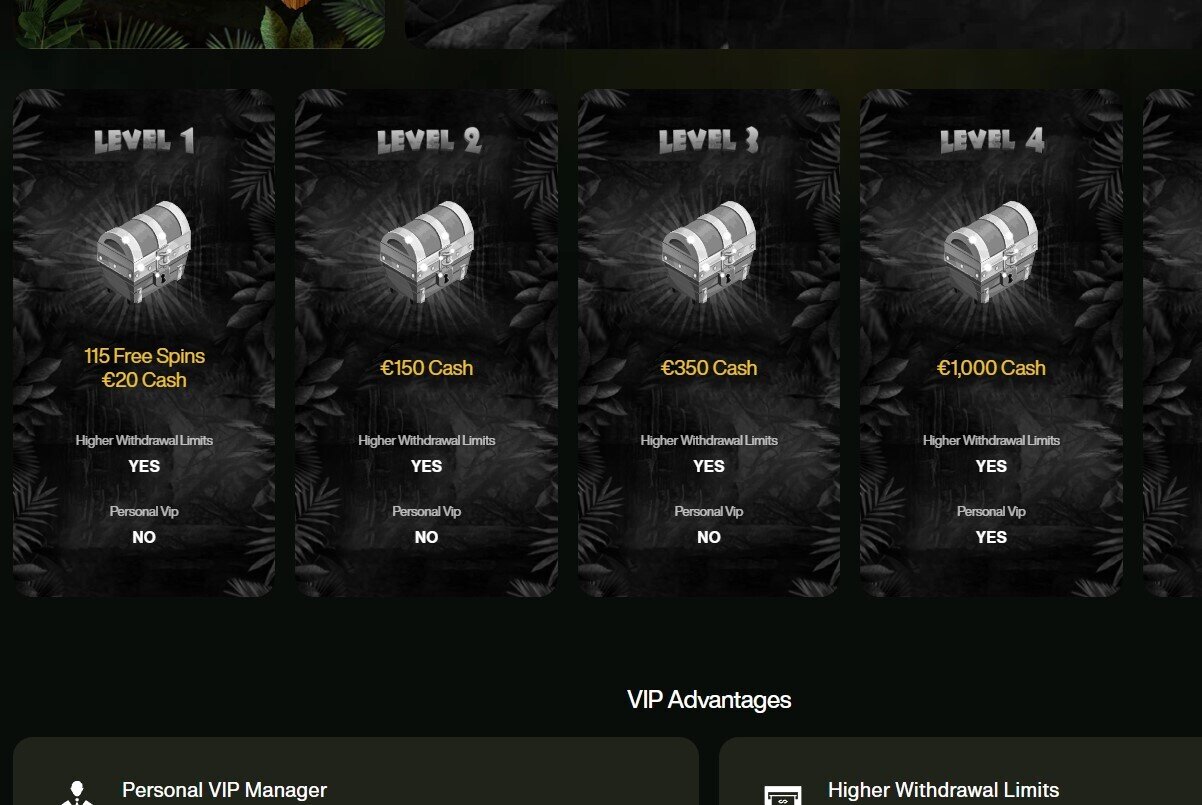 Cashwin VIP Program