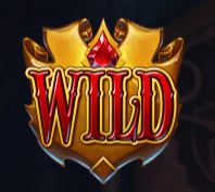 Wild symbol