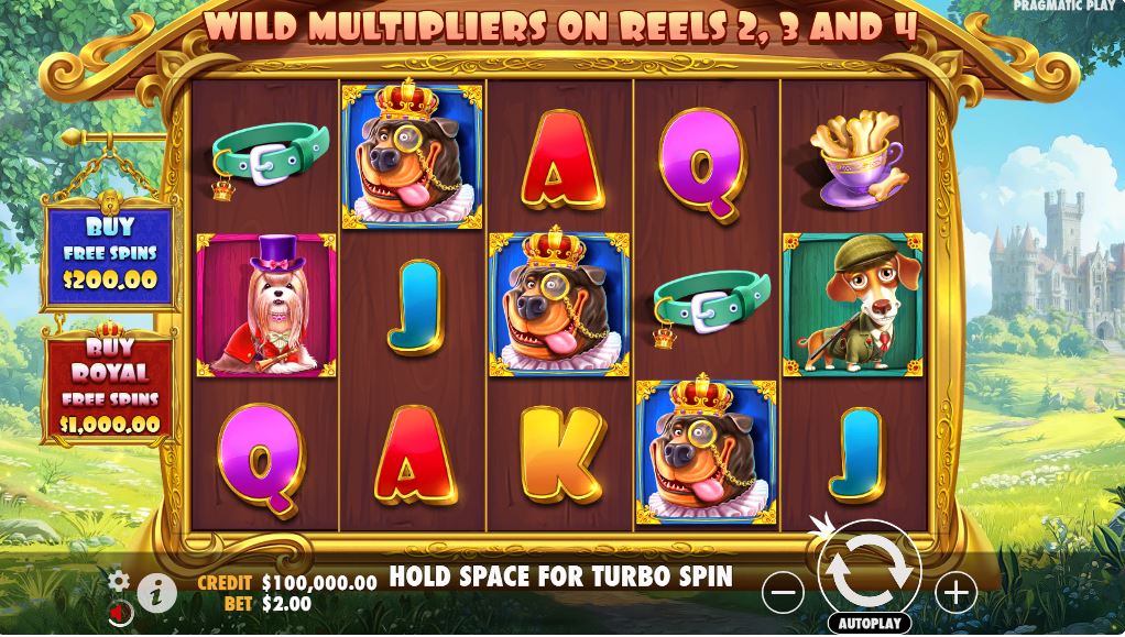 Dog house reels 2