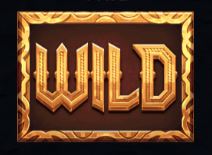 Wild Symbol