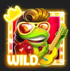 Wild symbol