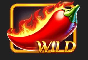 Wild symbol