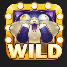 Wild symbol