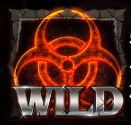 Wild symbol