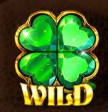Wild Symbol