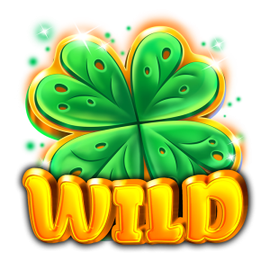 Wild symbol