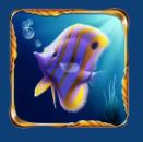Pearl_Pursuit_High Paying Symbol Tropical Fish 4