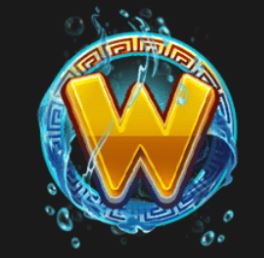 Wild Symbol