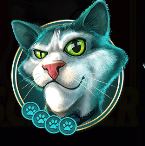 Cat with side eye