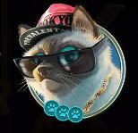 Cat with glasses