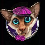 The Catfather High Paying Symbol 4