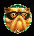 The Catfather High Paying Symbol 5