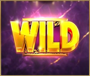 Wild symbol