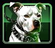 Dog Symbol
