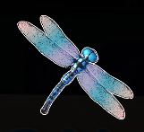 Dragonfly symbol
