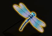 Dragonfly symbol